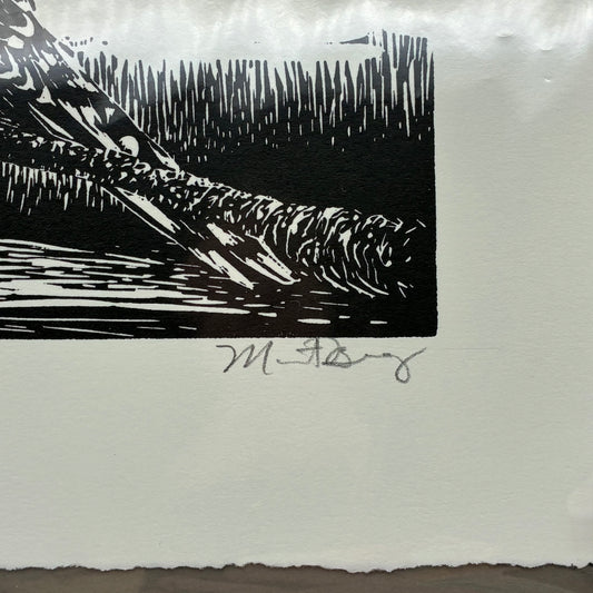 Pied Kingfisher 3/50