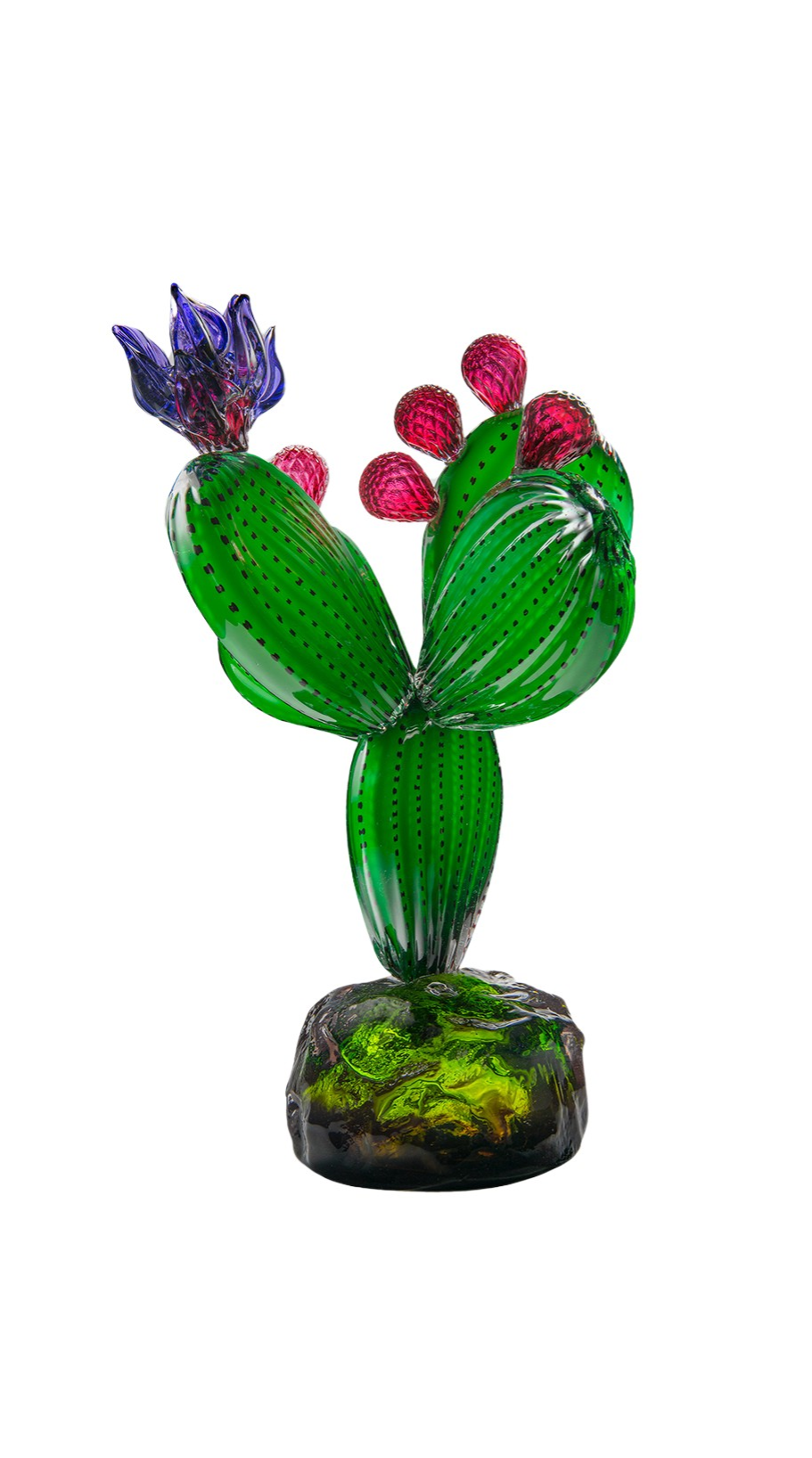 Botanica Ancestral Nopal