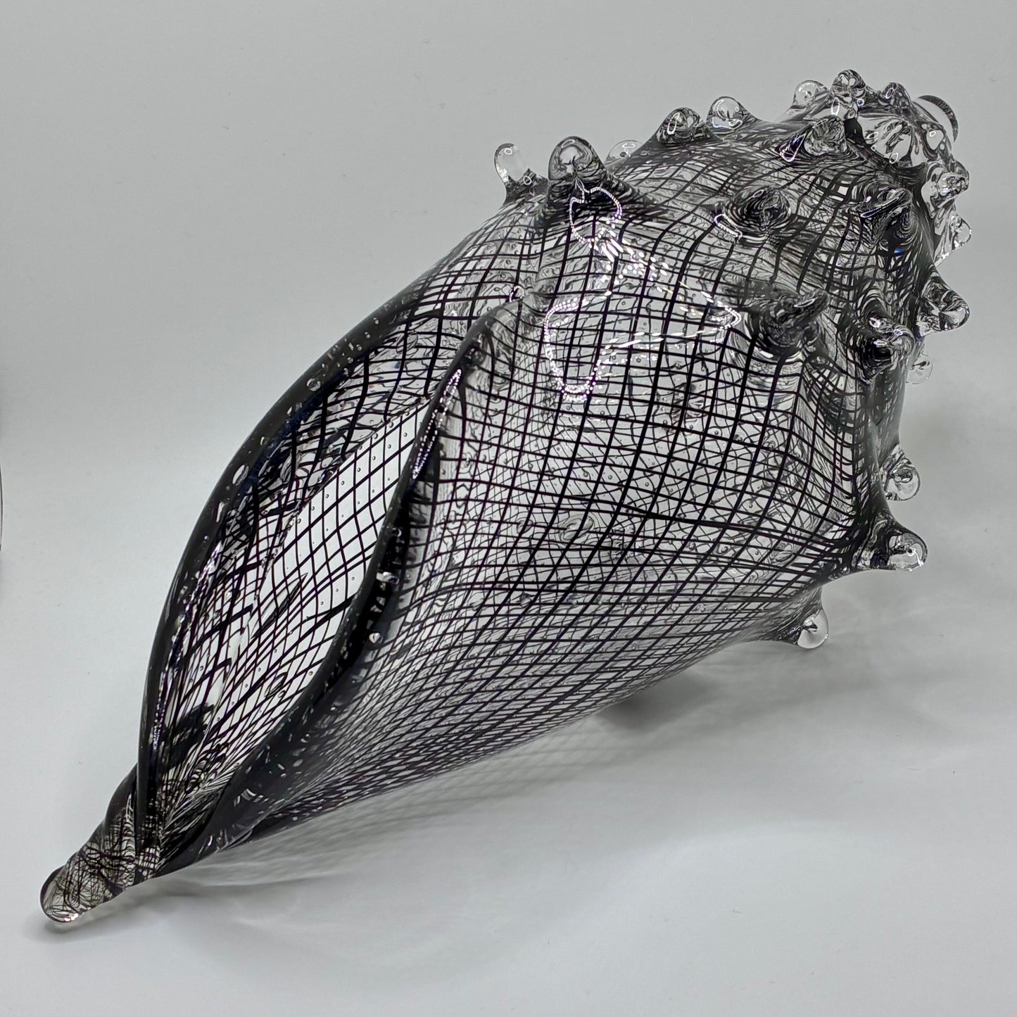 Cane Shell - Reticello