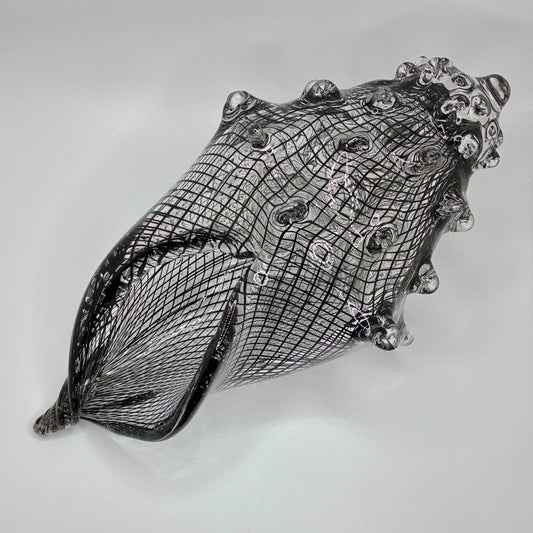 Cane Shell - Reticello