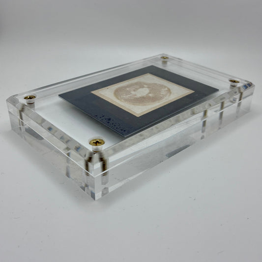 Xerocomellus Diffractus, Tacoma #3