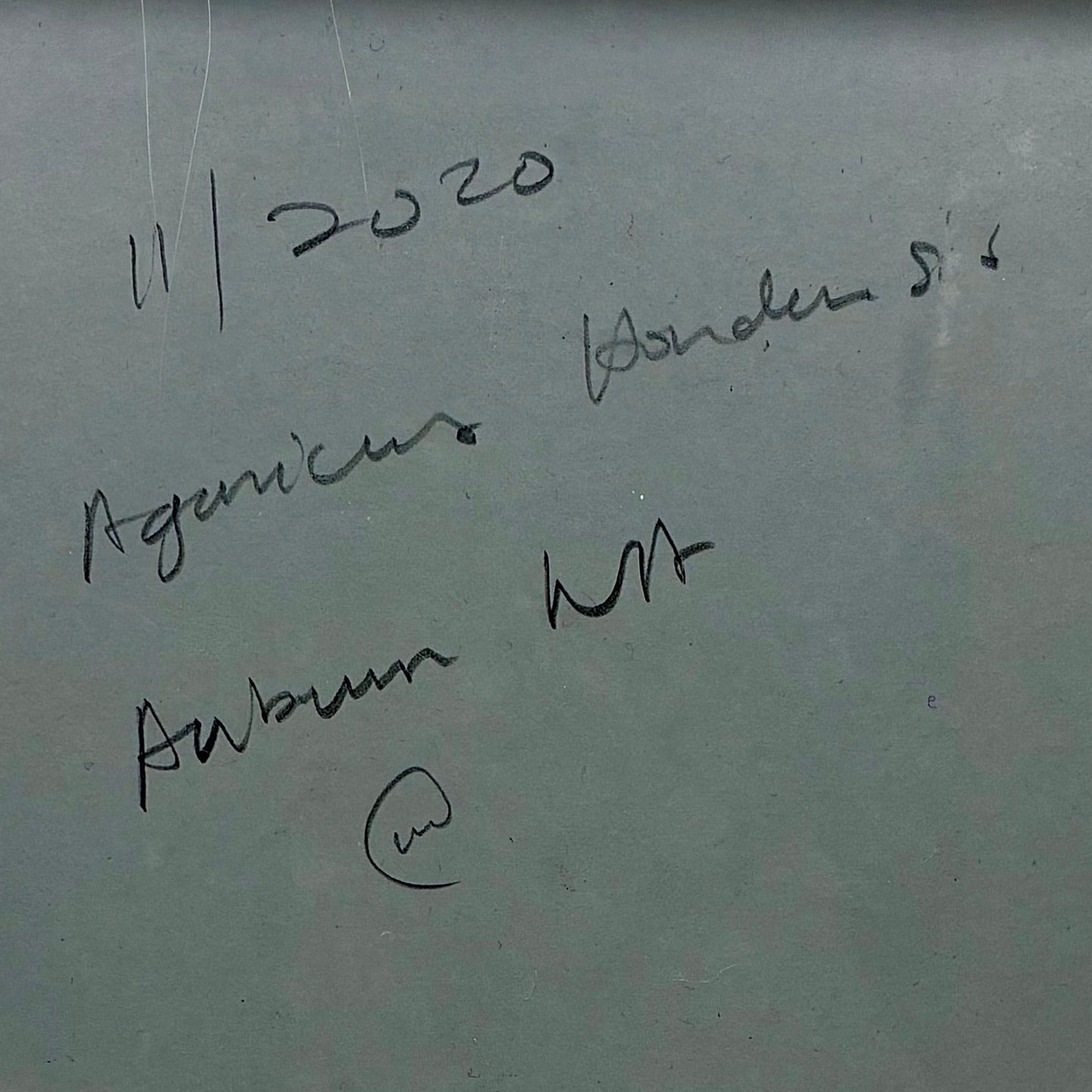 Agaricus Hondensis, Auburn #1