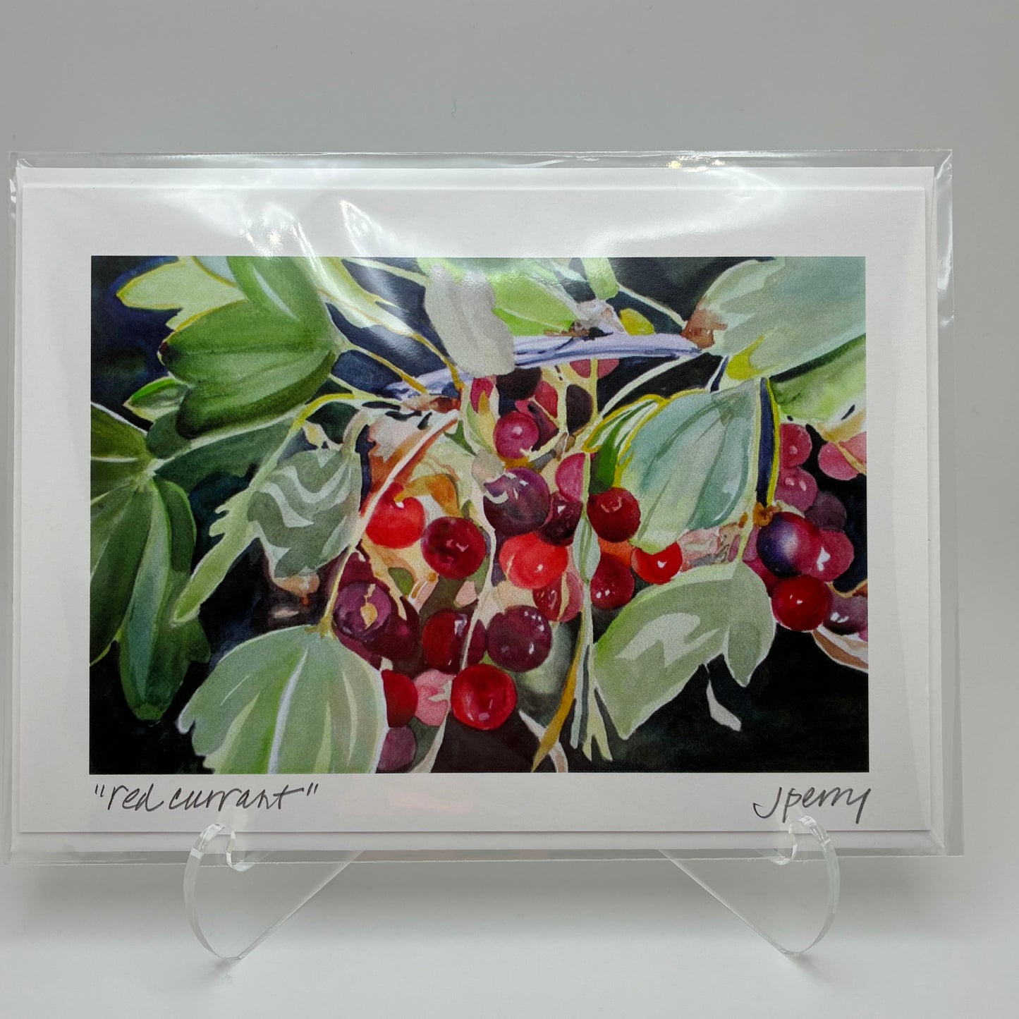 "Red Currant" Greeting Card by Judith Perry