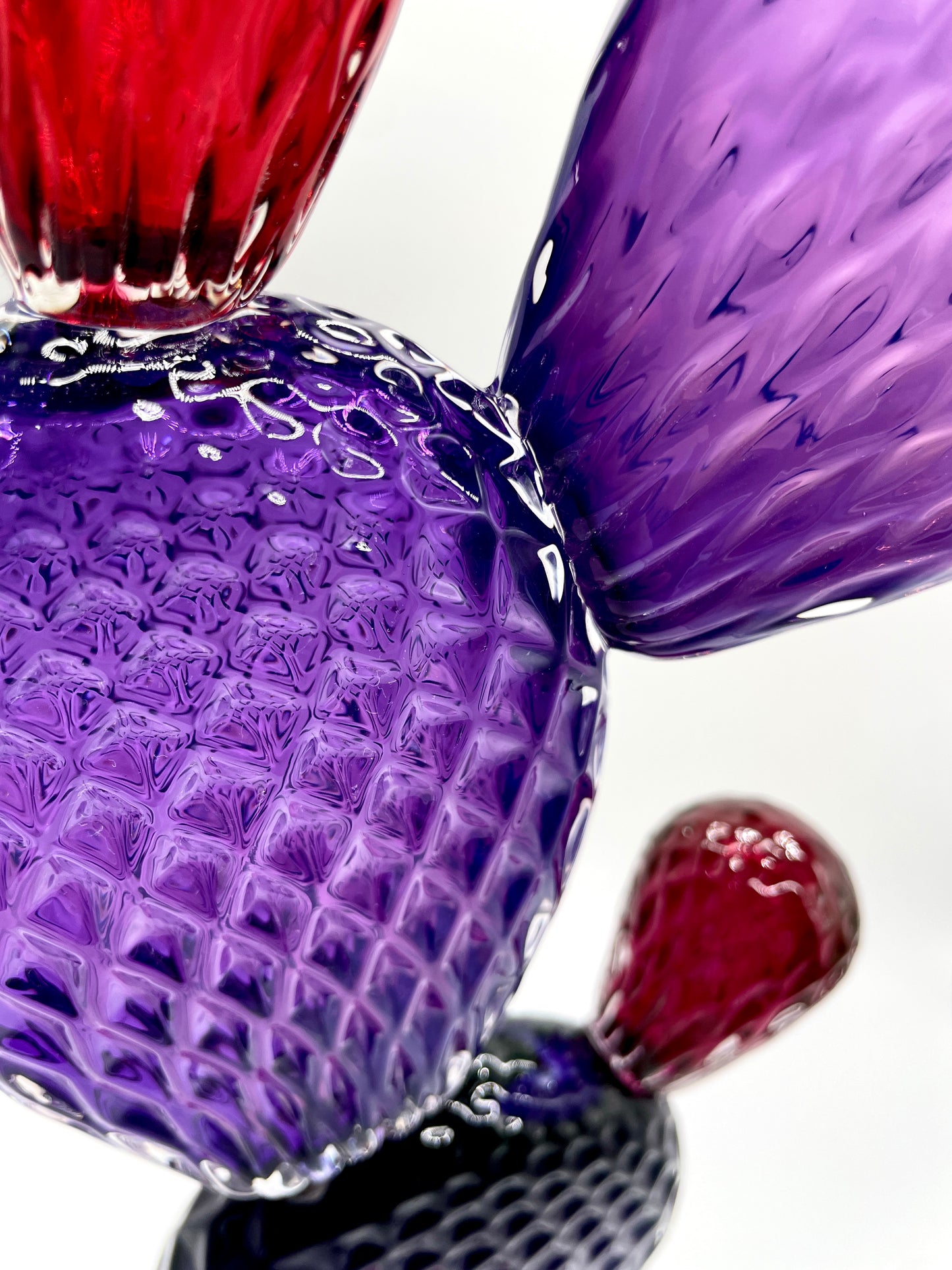 Nopal del Norte (Purple)