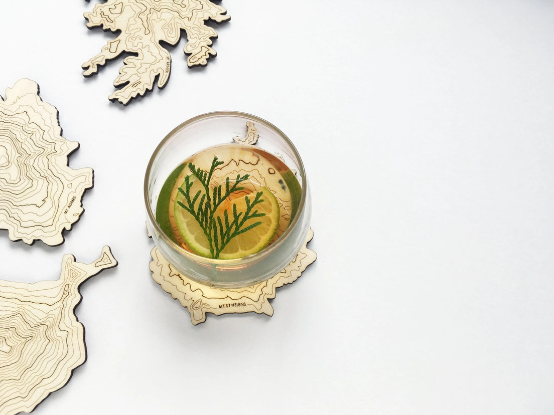 Mt. Rainer Topography Coaster - Single