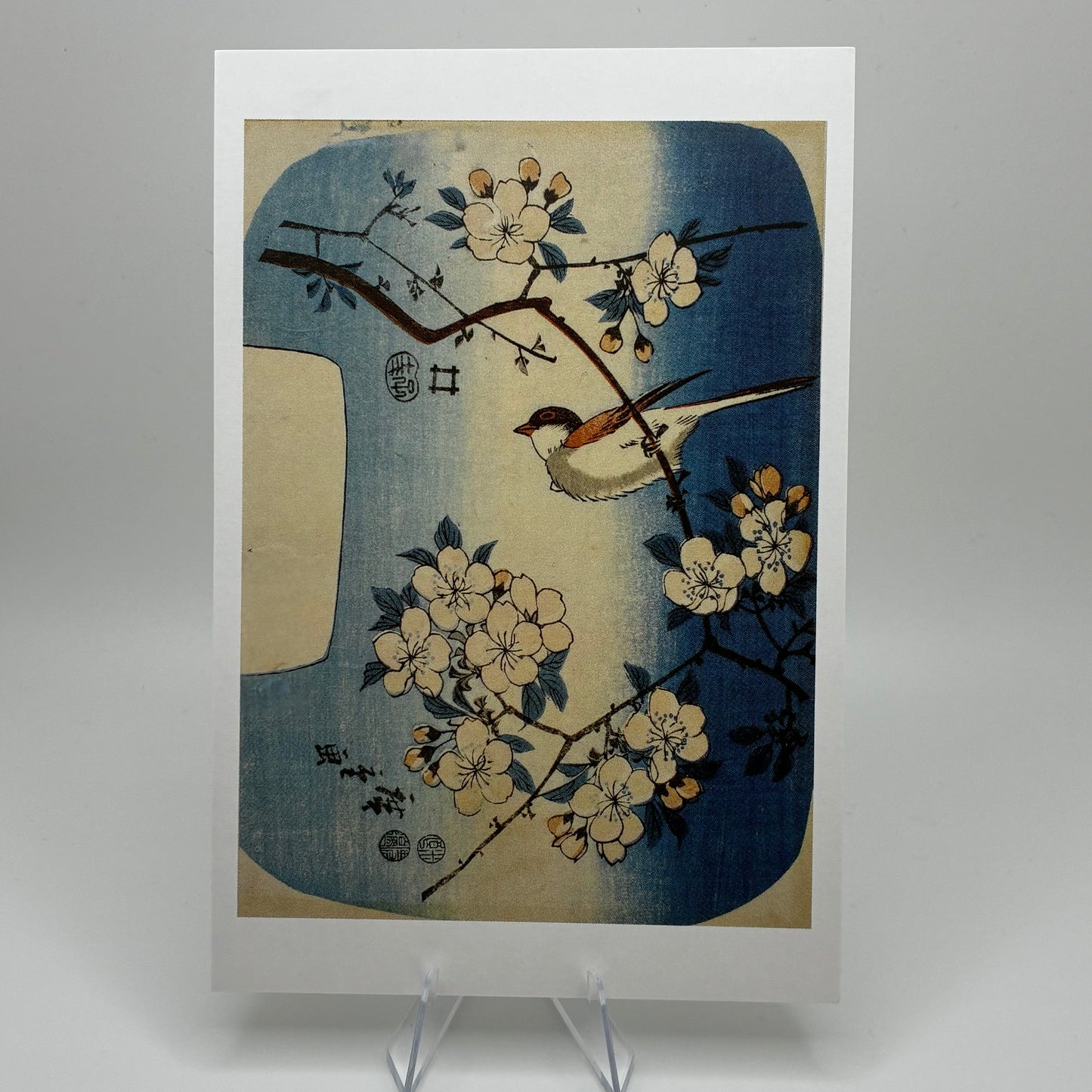 Small Bird on Cherry Branch Postcard 4x6