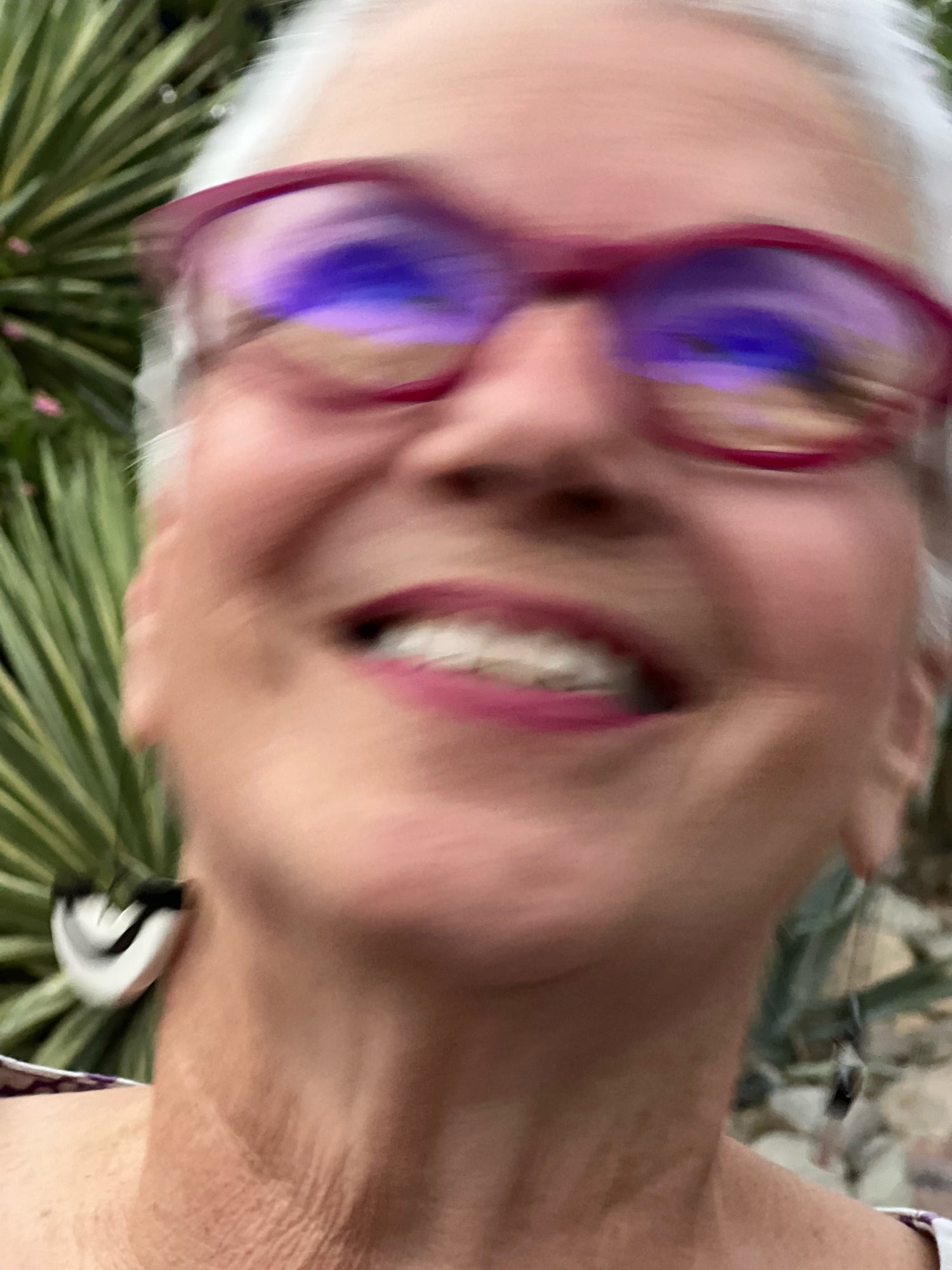 Judy Paolini