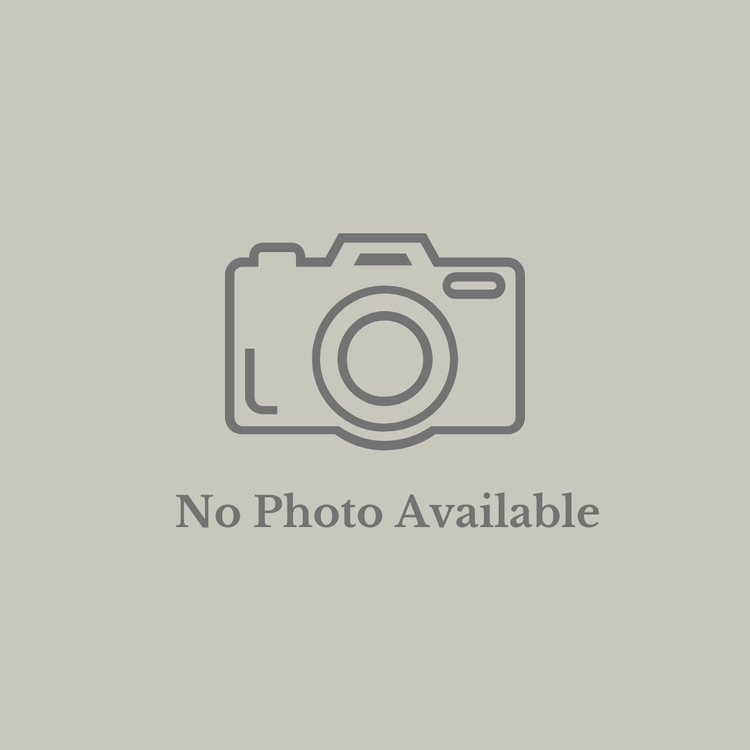 Past Exhibition: Places to Call Home: Settlements in the West