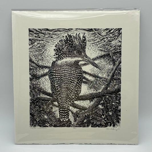 Crested Kingfisher 13/50