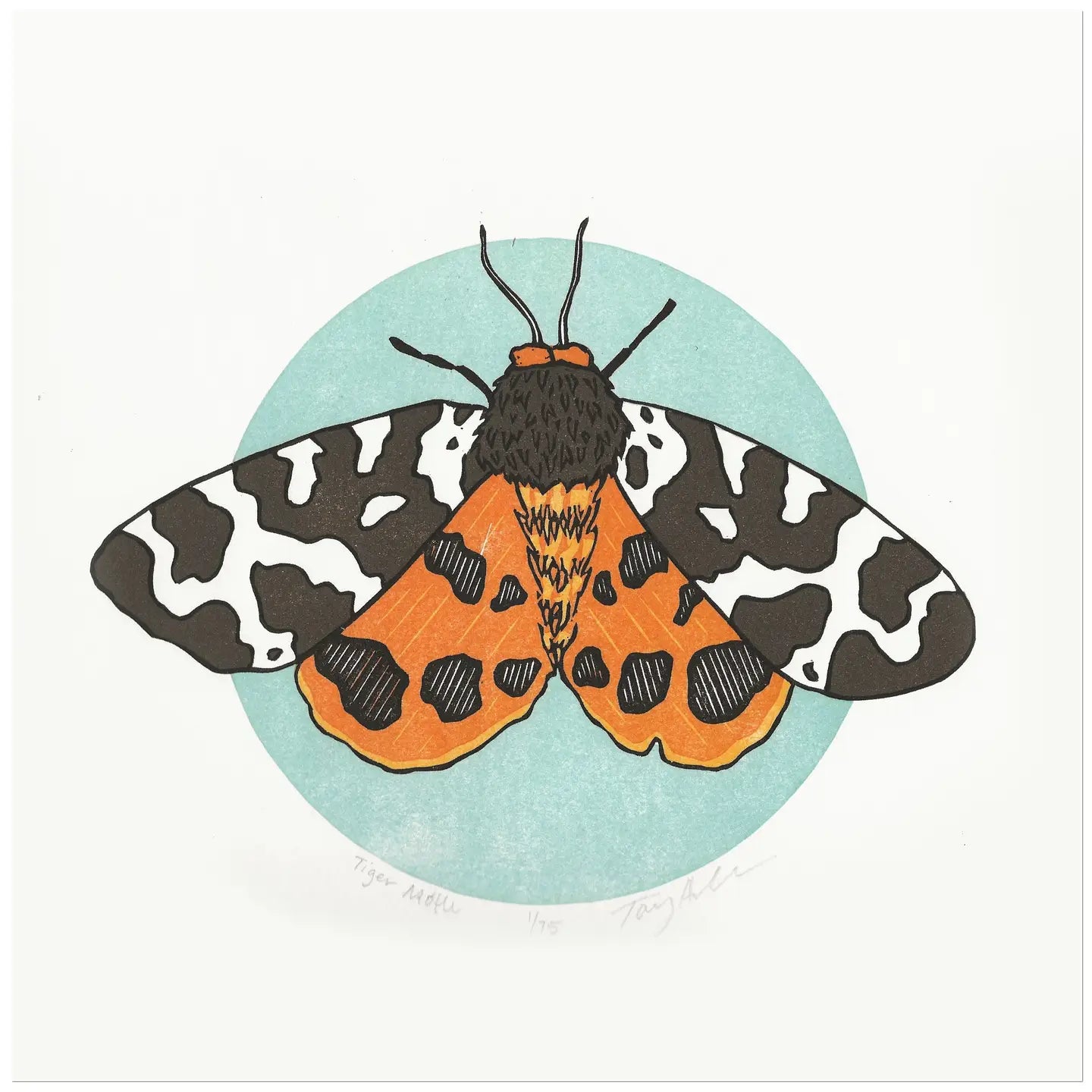 Tiger Moth Block Print - unframed