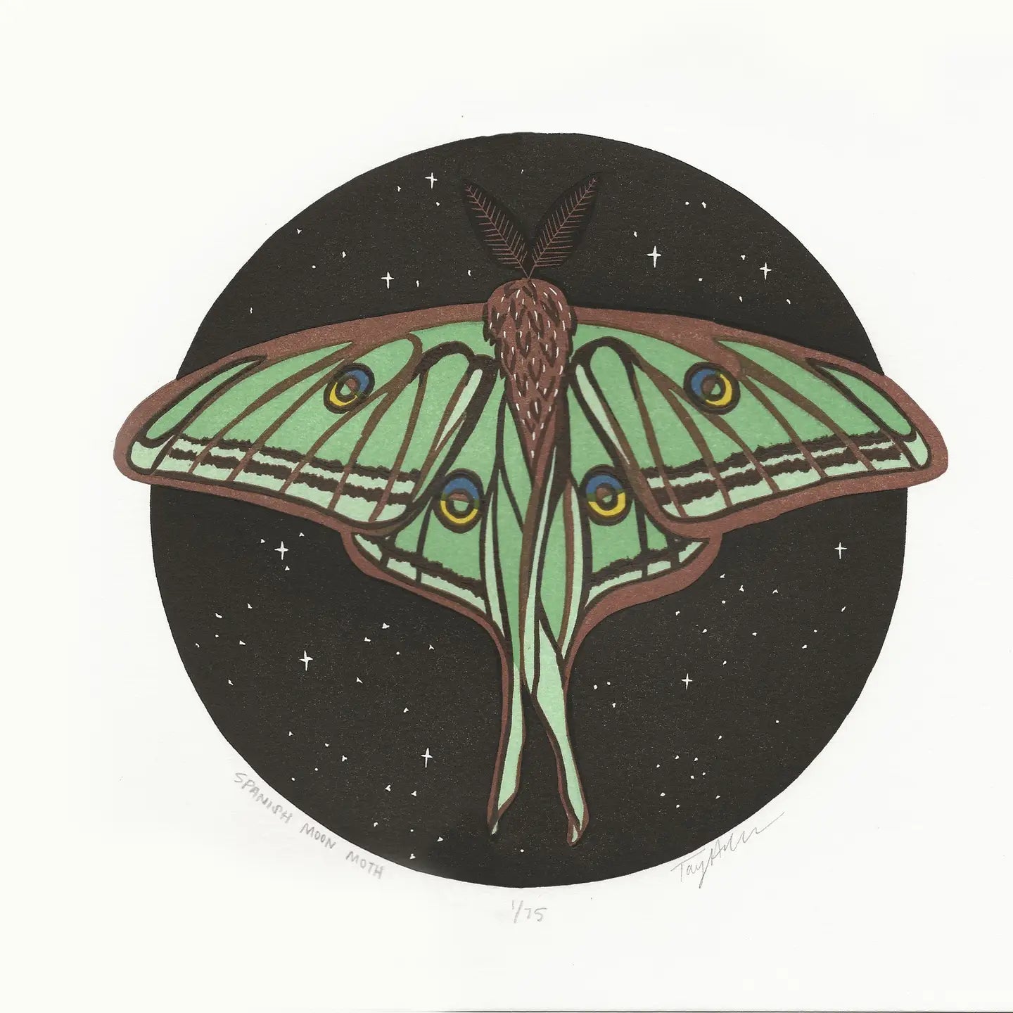 Spanish Moon Moth Block Print - unframed