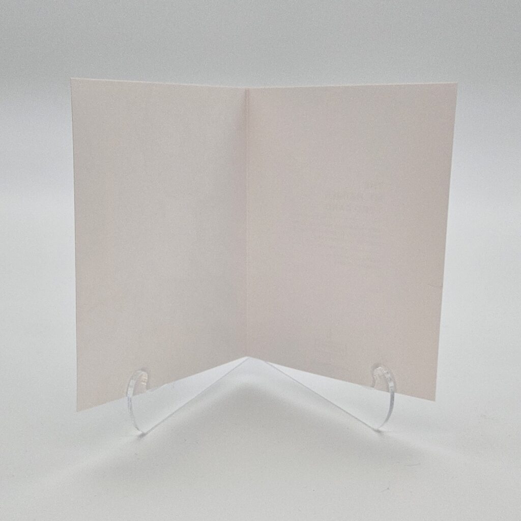 The Mt. Rainier Topo Card