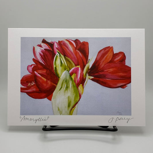 "Amaryllis" Greeting Card by Judith Perry