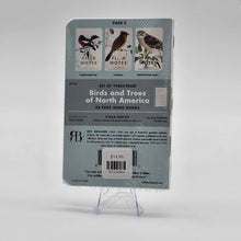 Birds of North America Memo Book