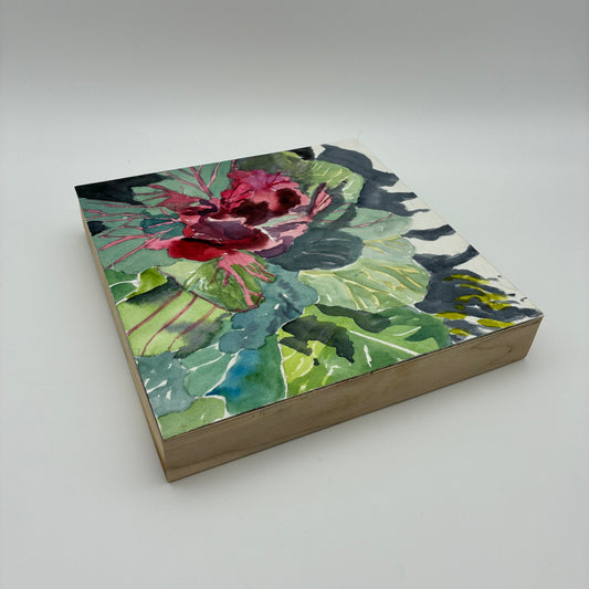 "Flowering Cabbage" Painting by Judith Perry