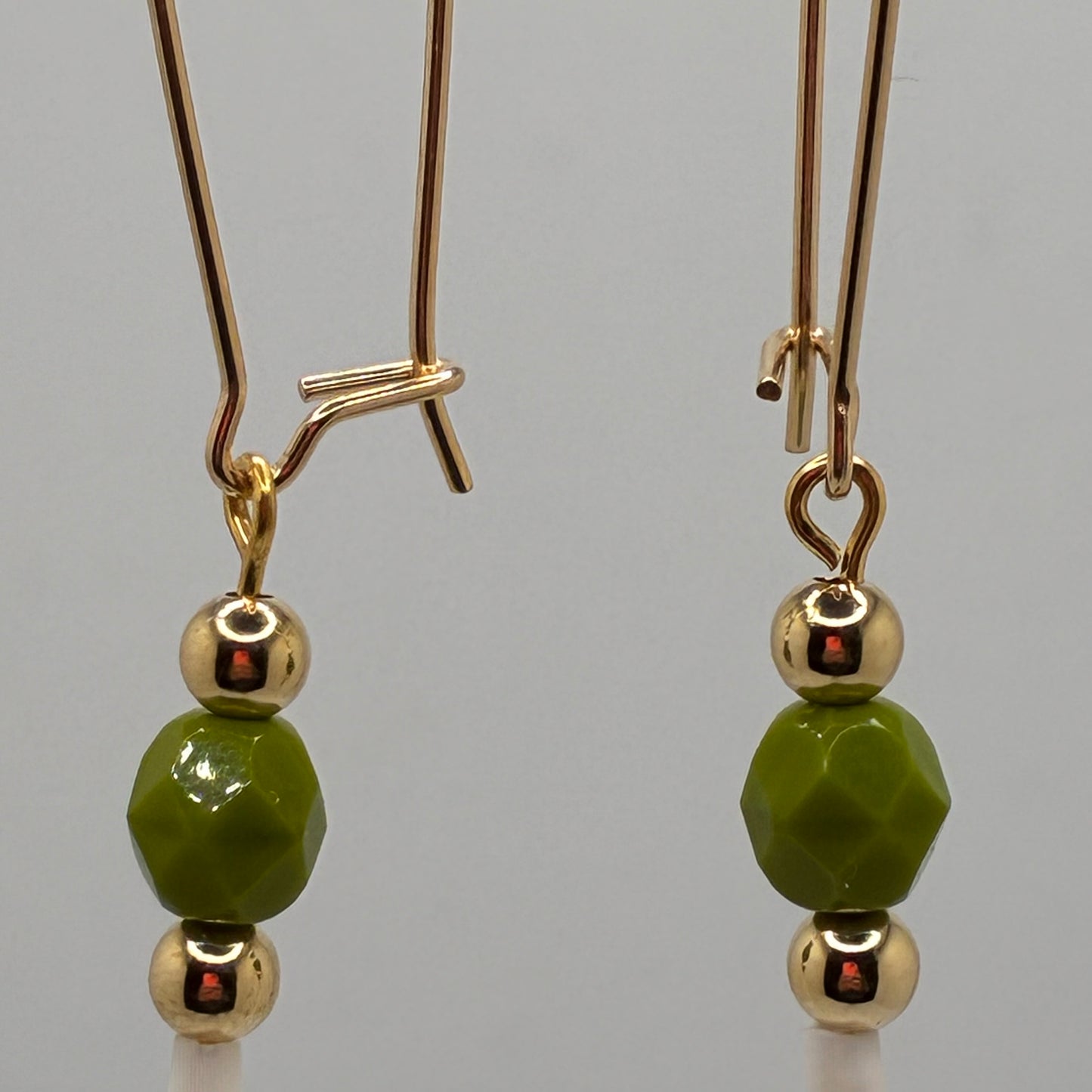 Dentalium Shell earrings