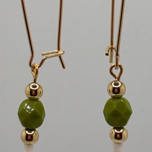 Dentalium Shell earrings
