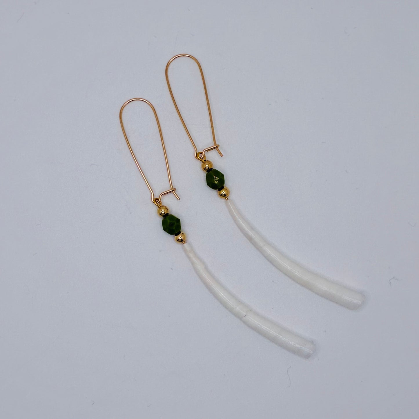 Dentalium Shell earrings