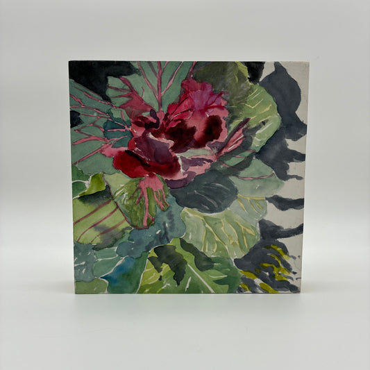 "Flowering Cabbage" Painting by Judith Perry
