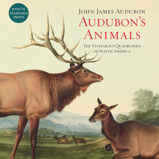 Audubon's Animals