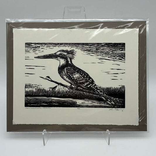 Pied Kingfisher 3/50