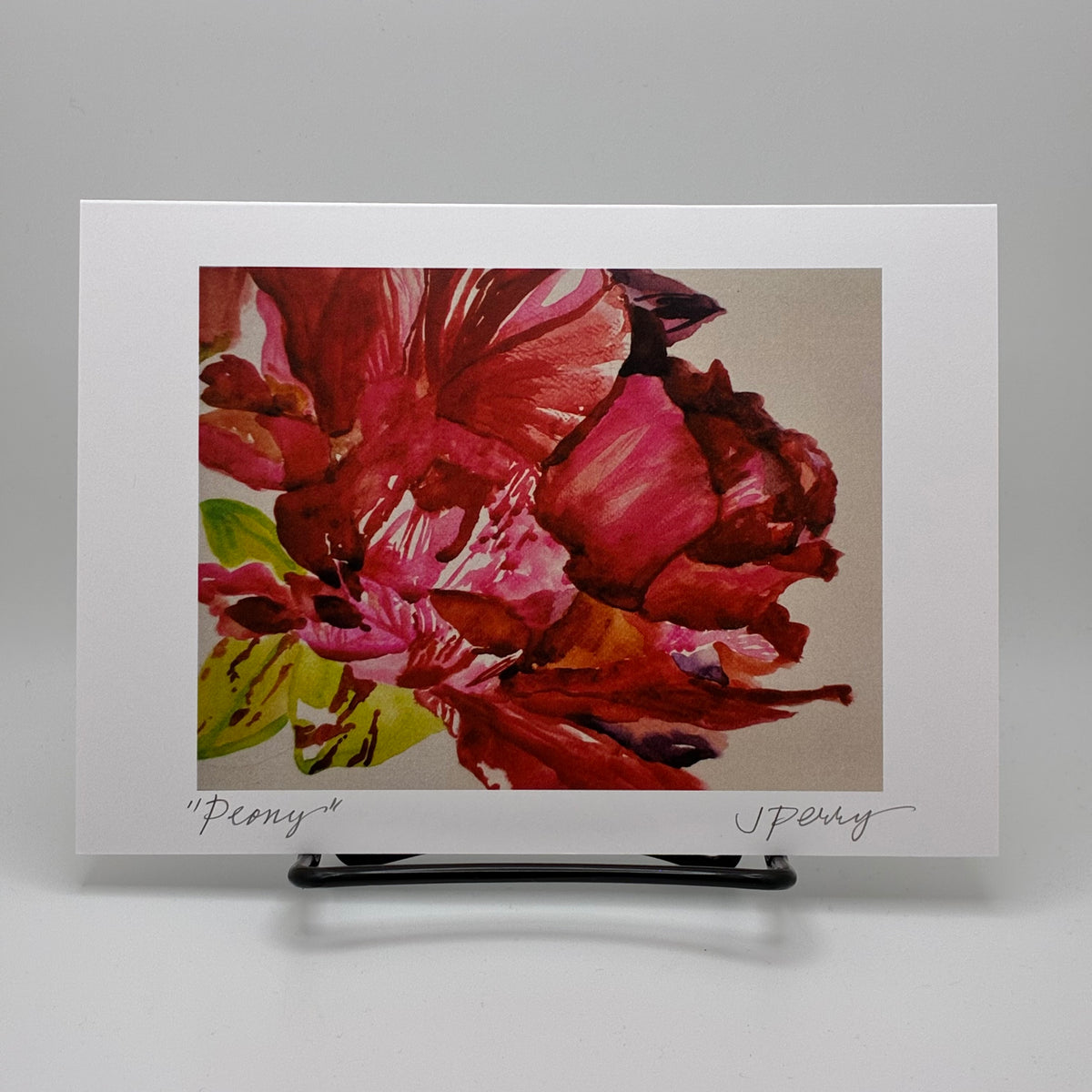 Peony Greeting Card by Judith Perry