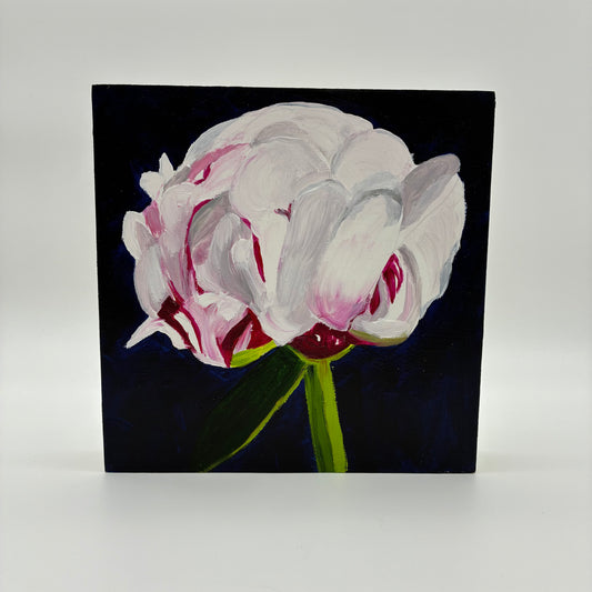 "Peony" Painting by Judith Perry