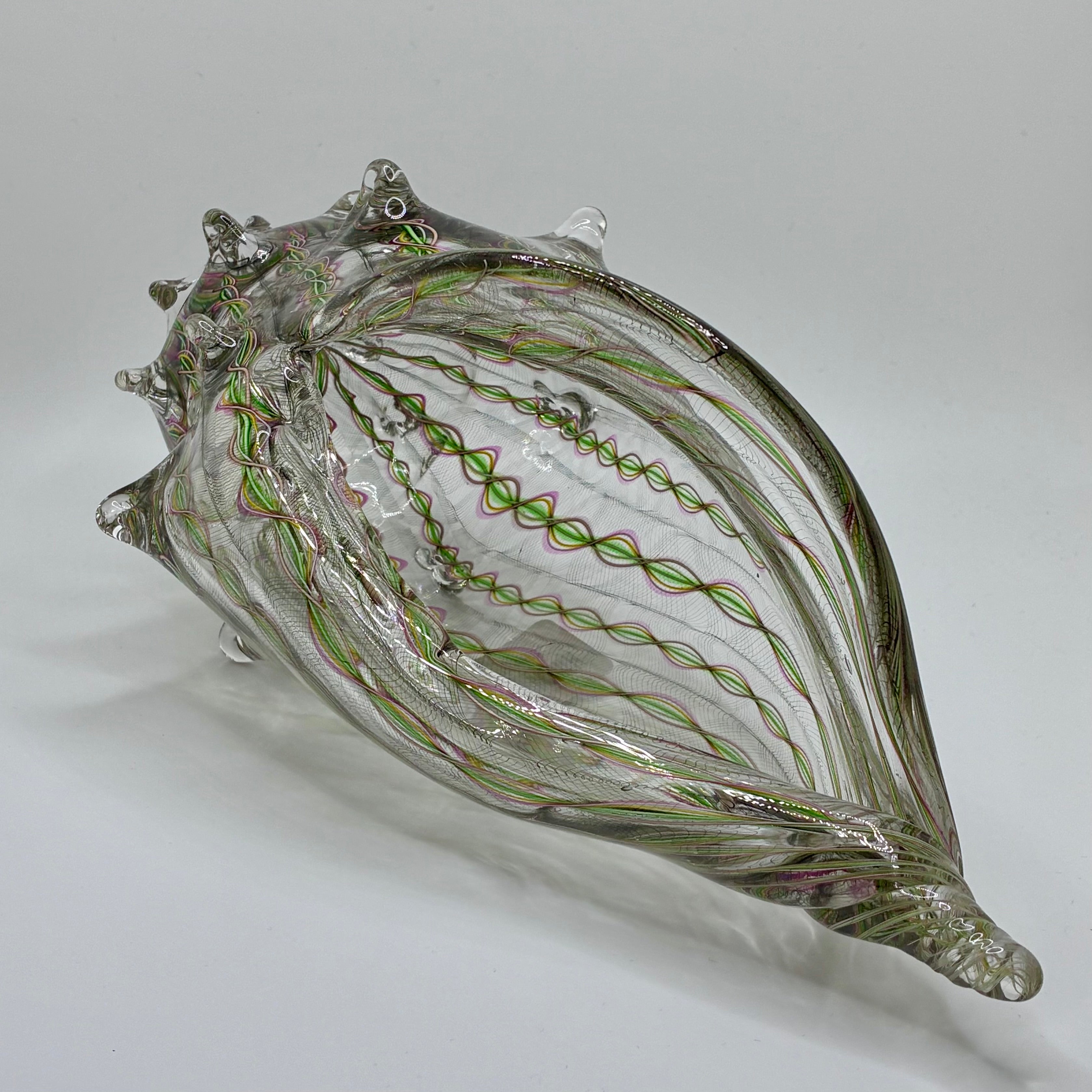 Cane Shell - Medium – Tacoma Art Museum Store