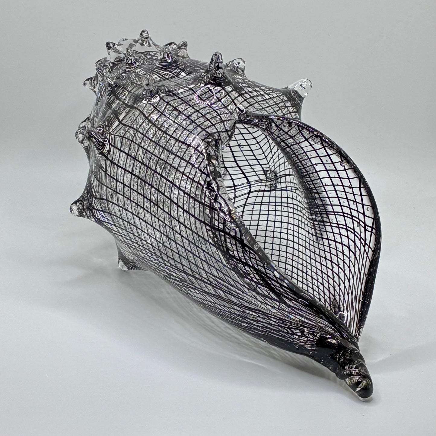 Cane Shell - Reticello