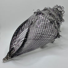 Cane Shell - Reticello