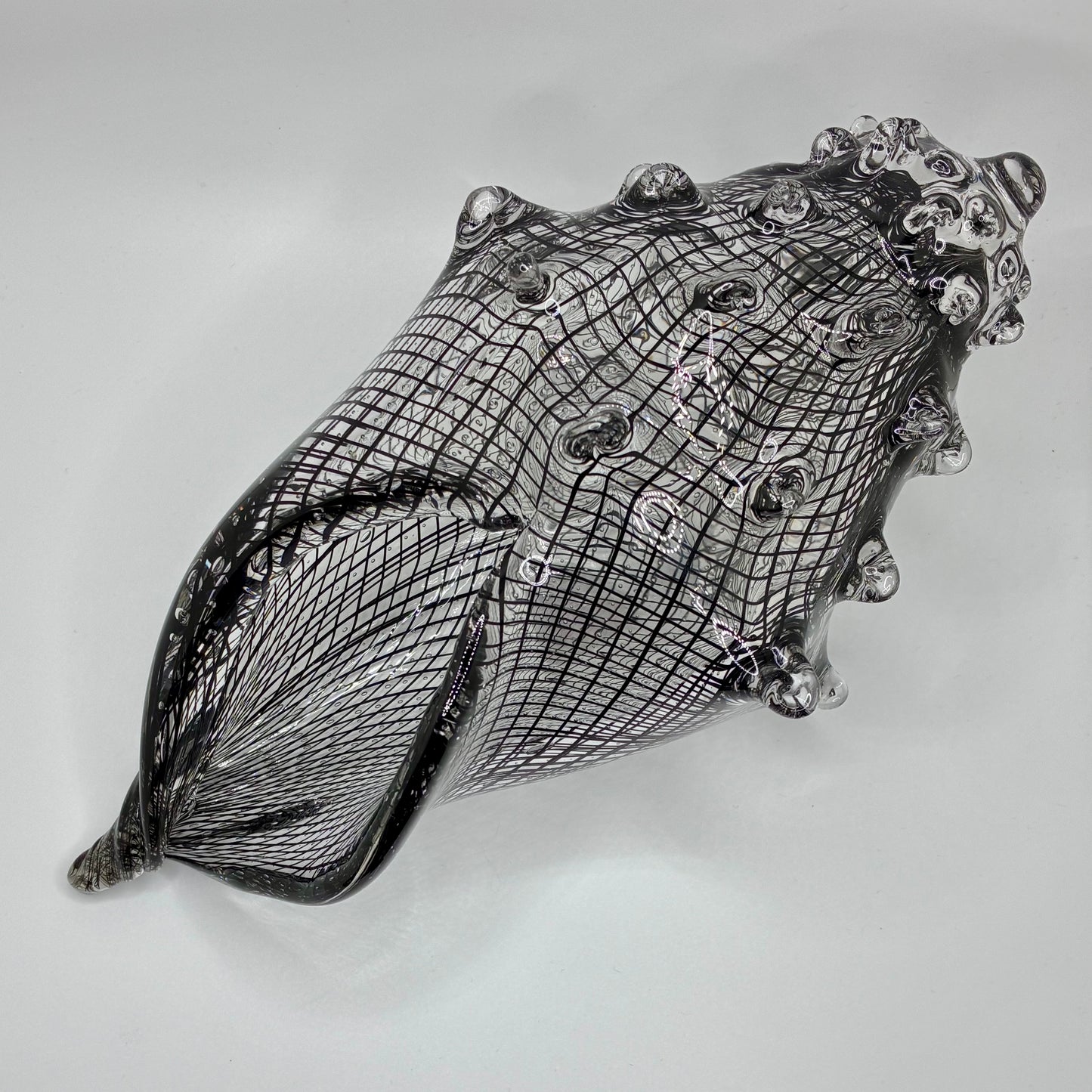 Cane Shell - Reticello