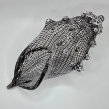 Cane Shell - Reticello