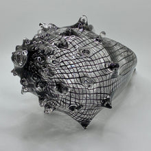 Cane Shell - Reticello