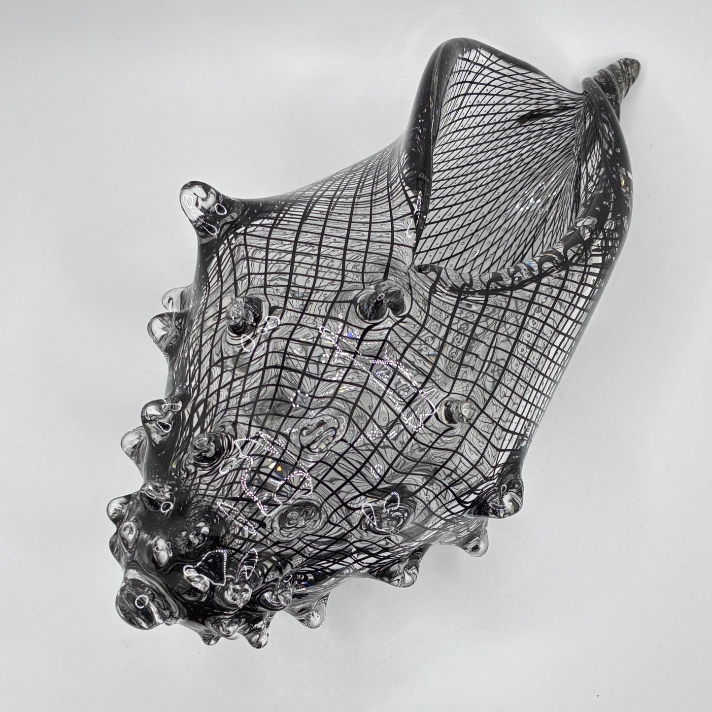 Cane Shell - Reticello