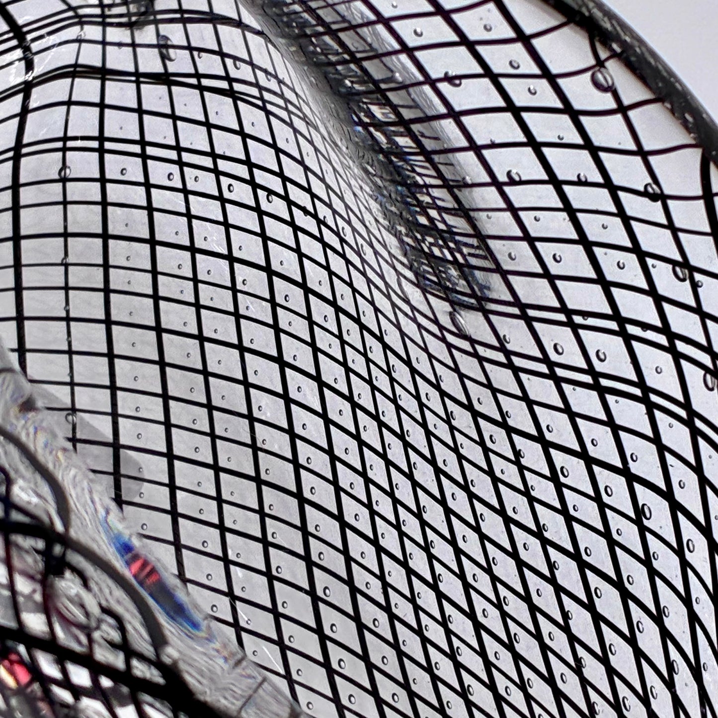 Cane Shell - Reticello