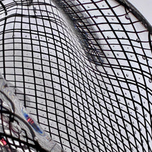 Cane Shell - Reticello