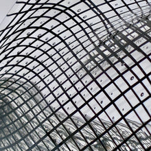 Cane Shell - Reticello