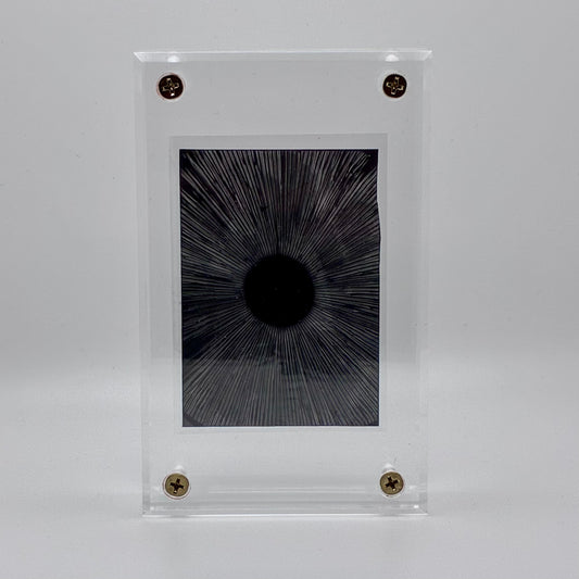 Amanita Pantherinoides, Swan Creek #2