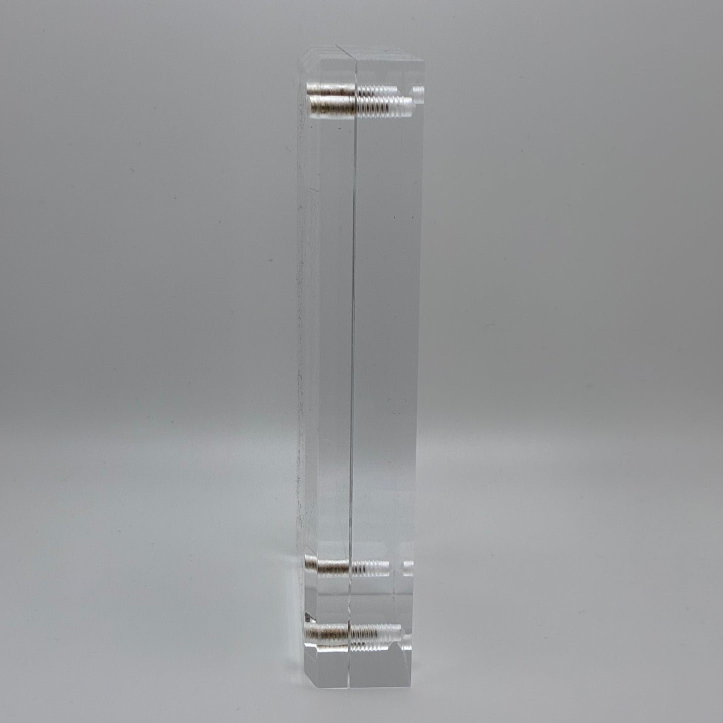 Amanita Pantherinoides, Swan Creek #2