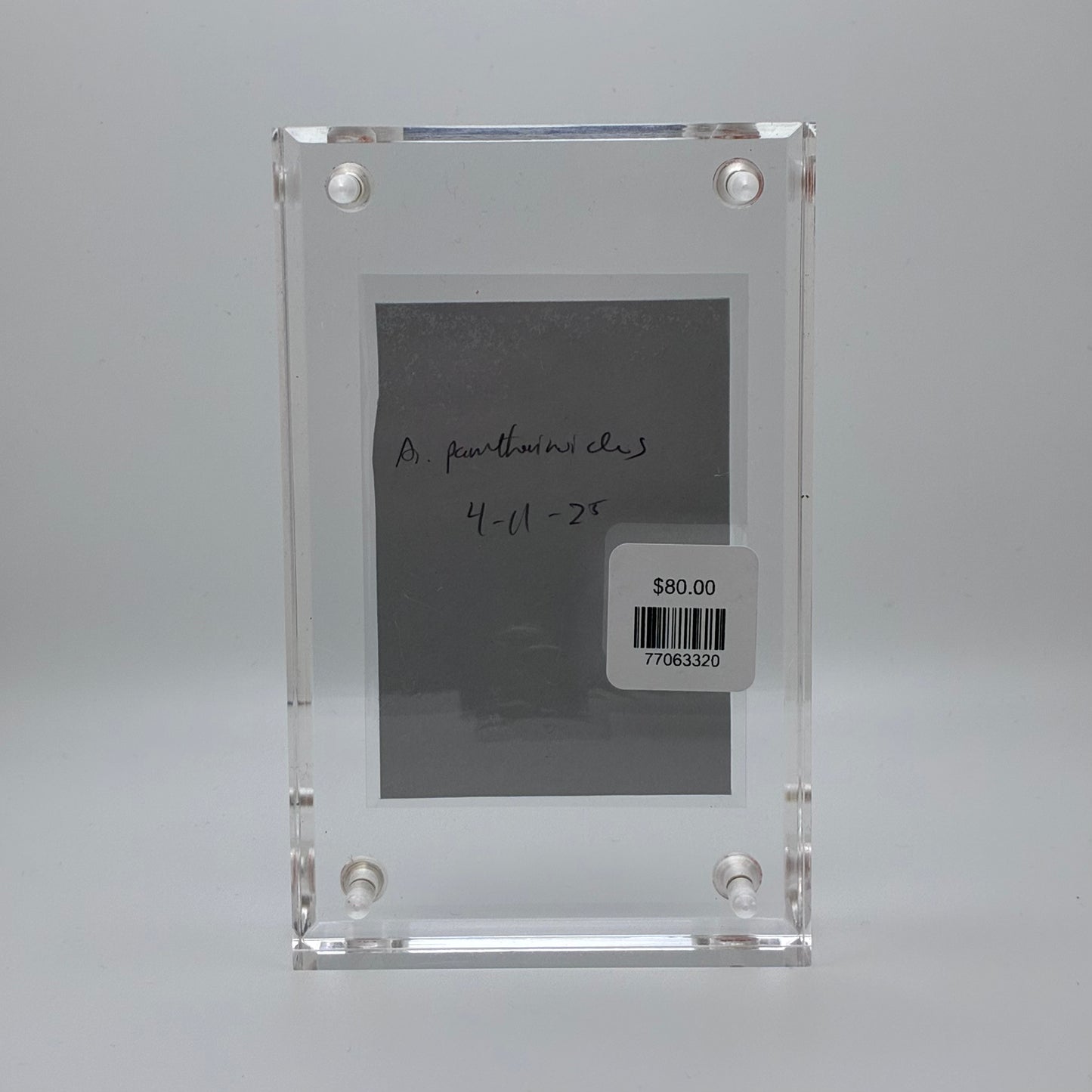 Amanita Pantherinoides, Swan Creek #2