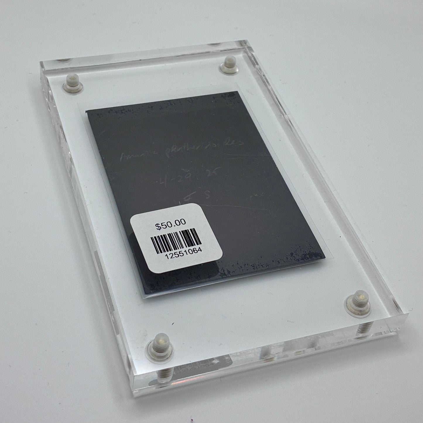 Amanita Pantherinoides, Fort Steilacoom #7