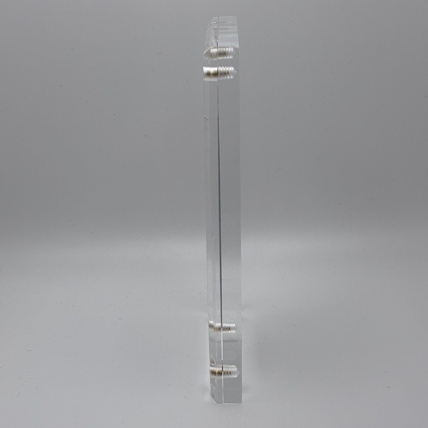 Amanita Pantherinoides, Fort Steilacoom #8