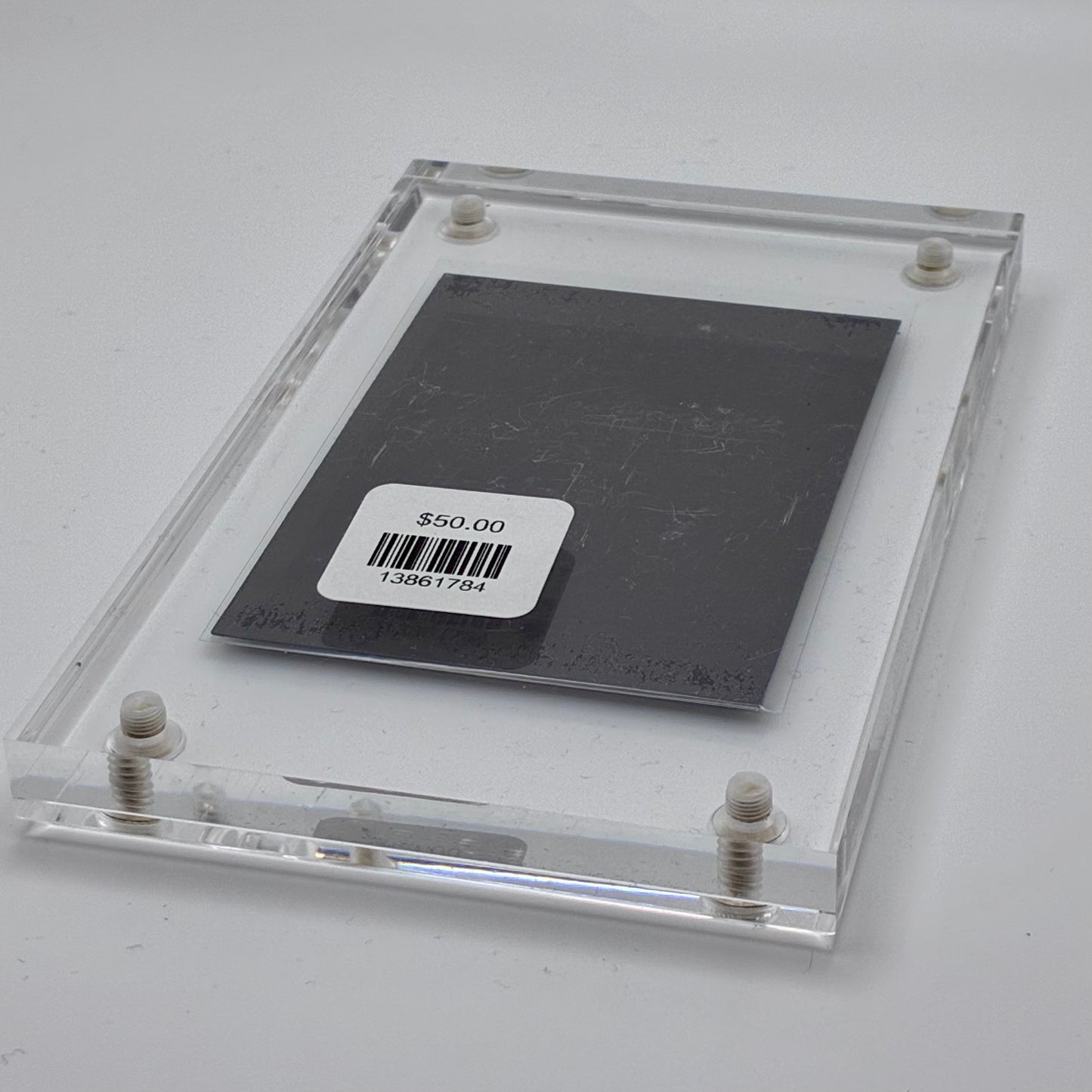 Amanita Pantherinoides, Fort Steilacoom #8