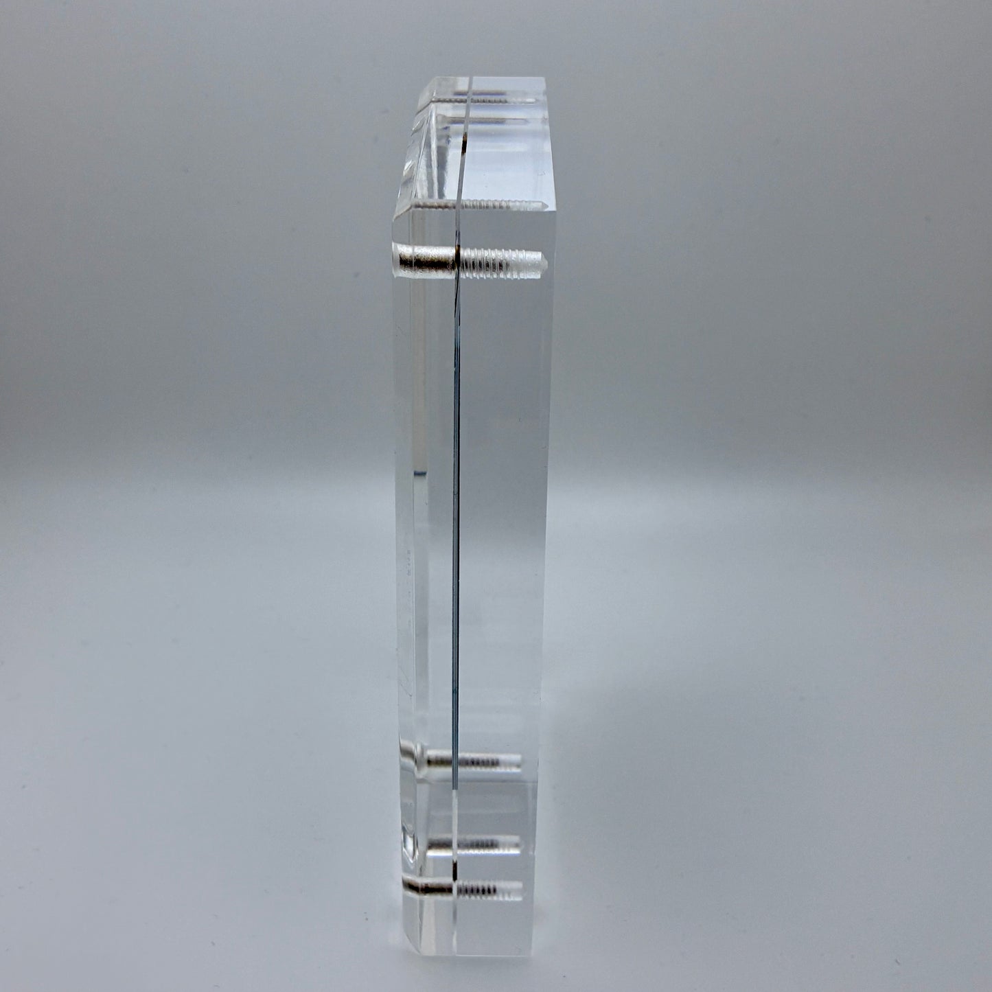 Xerocomellus Diffractus, Tacoma #3