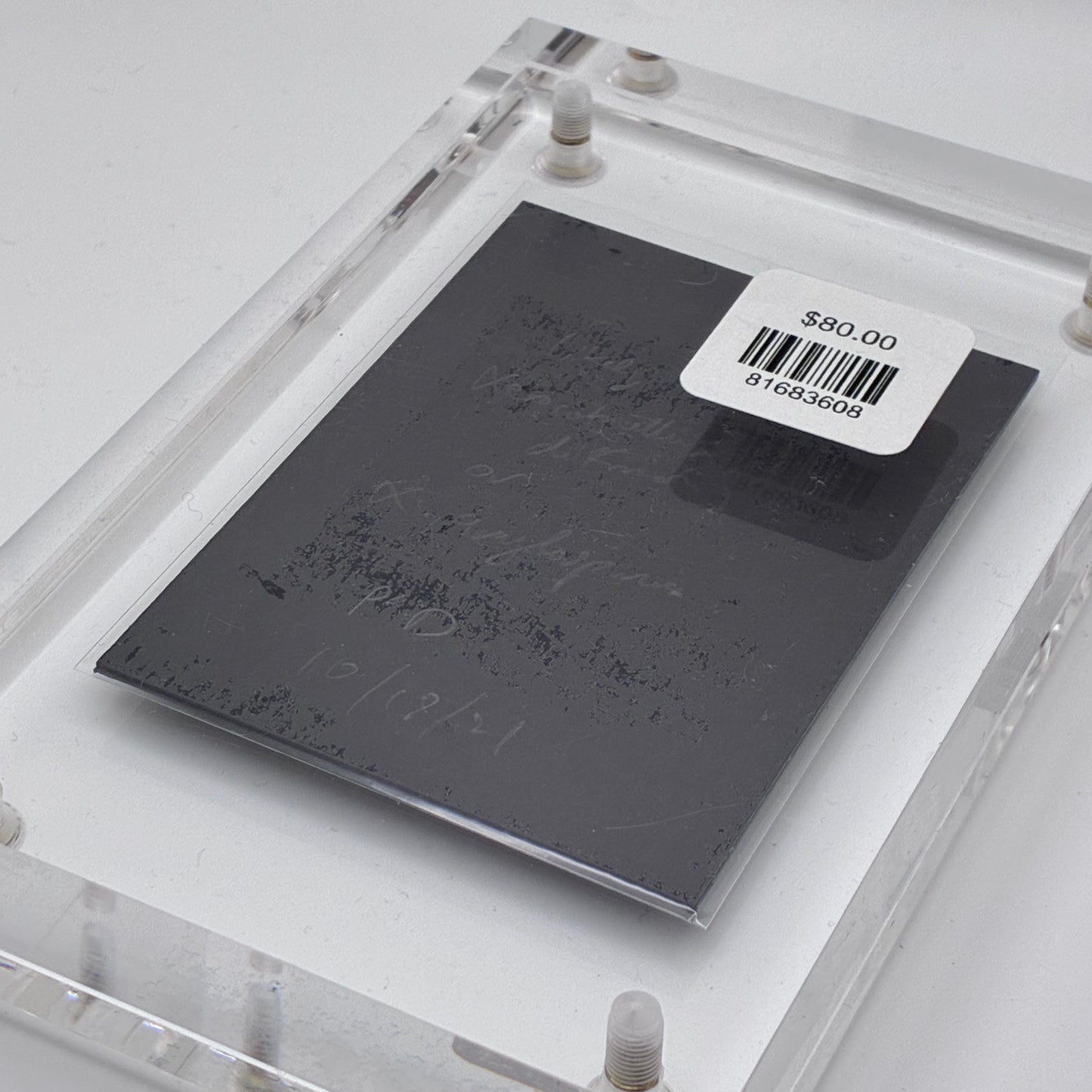 Xerocomellus Diffractus, Tacoma #3