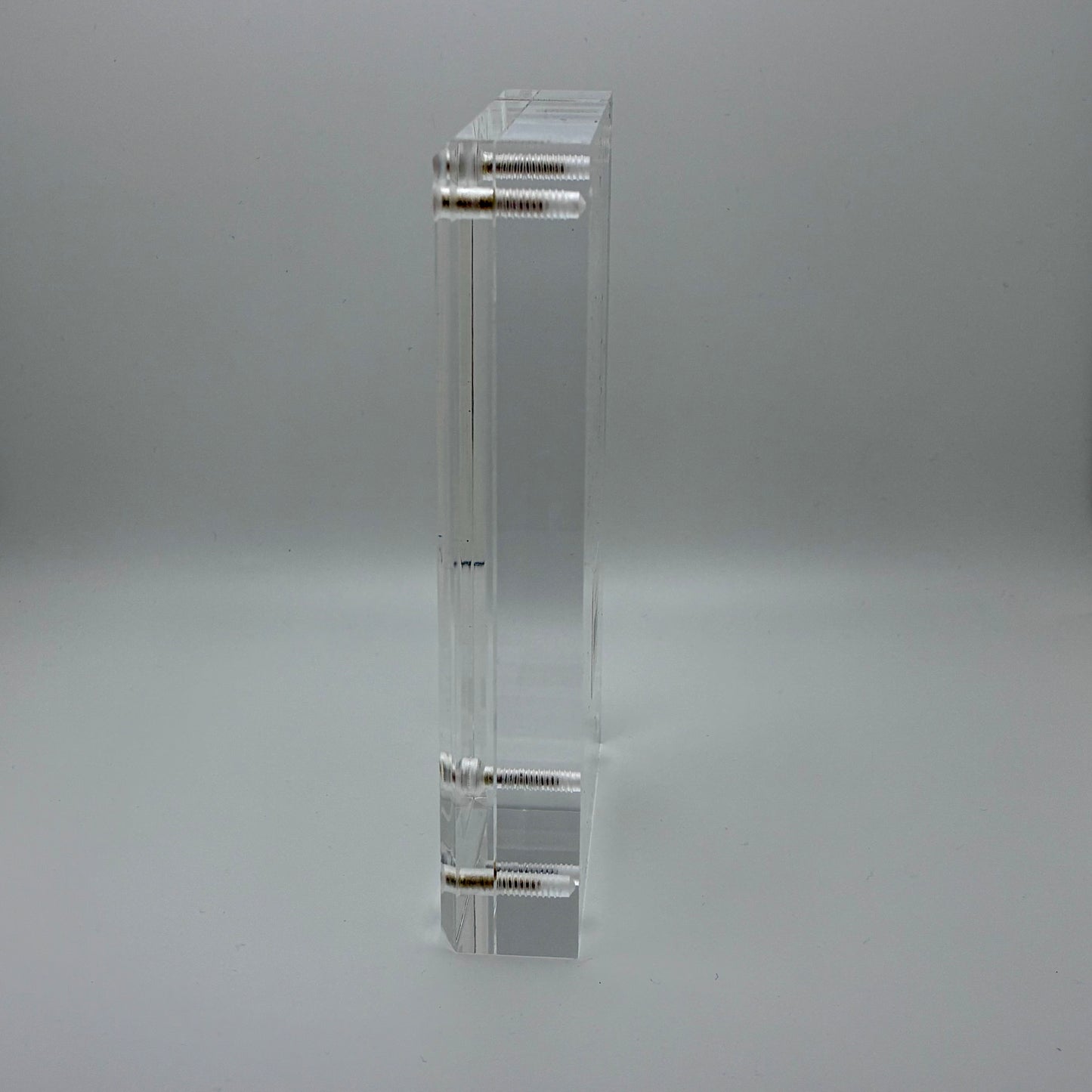 Psathyrella Longipes, Olympia #5