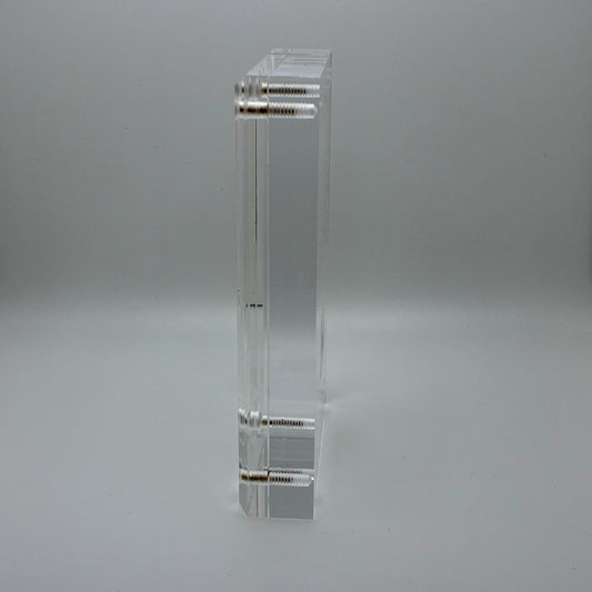 Psathyrella Longipes, Olympia #5