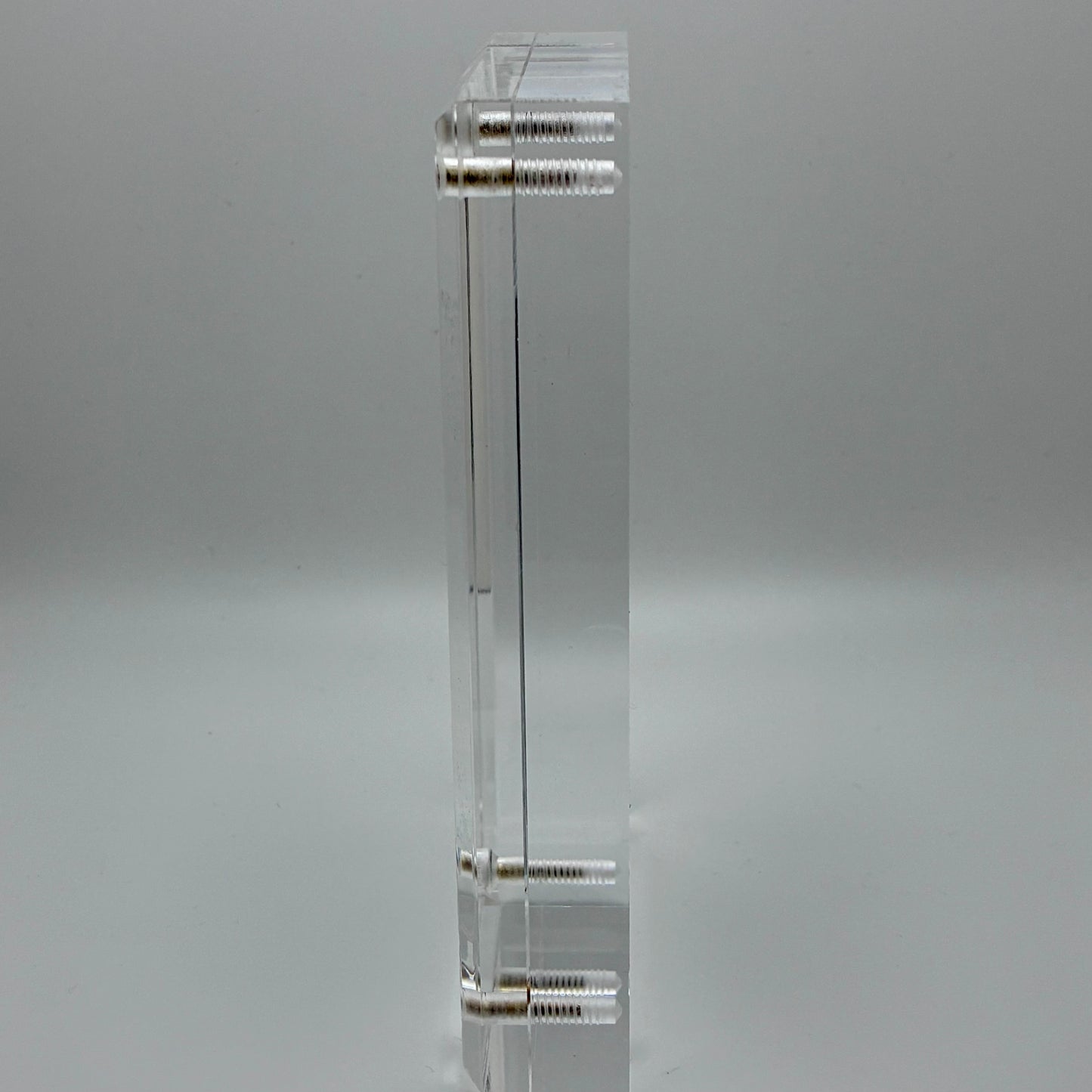 Amanita Pantherinoides, Fort Steilacoom #4