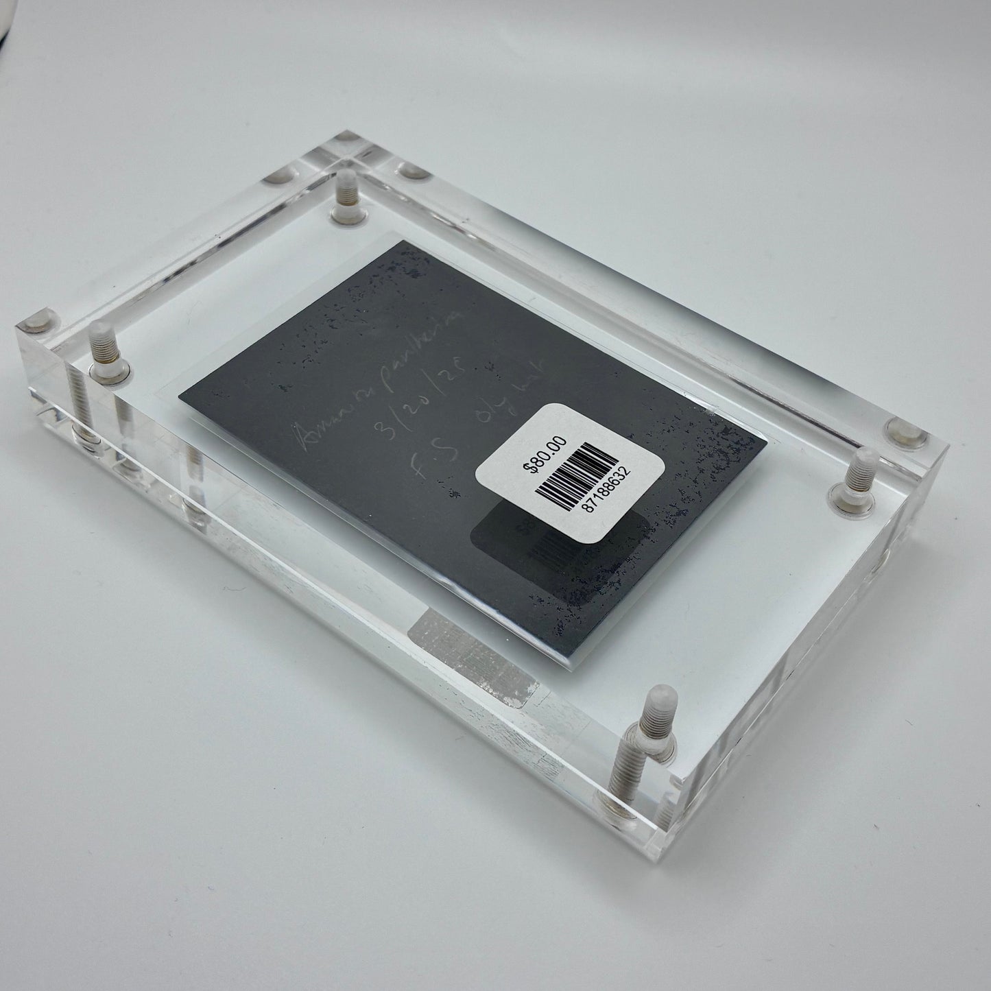 Amanita Pantherinoides, Fort Steilacoom #4