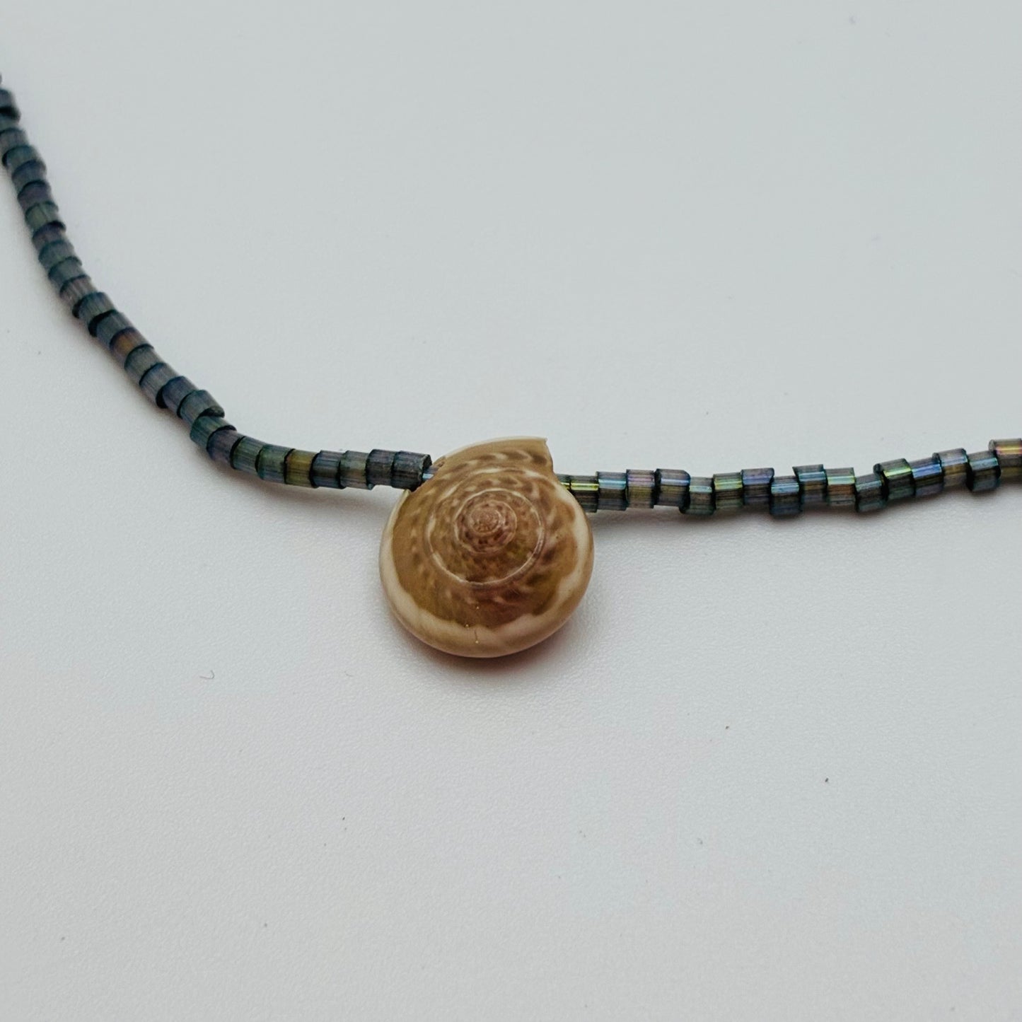 Shell Necklace